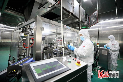 高質量發展調研行 邢臺食品加工業挺進功能性食品新賽道